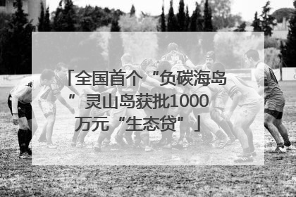 全国首个“负碳海岛”灵山岛获批1000万元“生态贷”