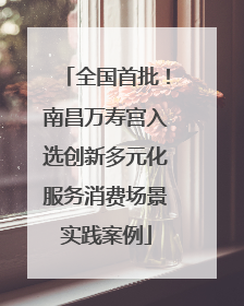 全国首批！南昌万寿宫入选创新多元化服务消费场景实践案例
