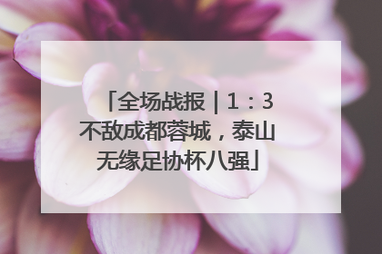 全场战报｜1：3不敌成都蓉城，泰山无缘足协杯八强
