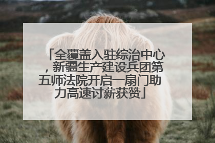 全覆盖入驻综治中心，新疆生产建设兵团第五师法院开启一扇门助力高速讨薪获赞