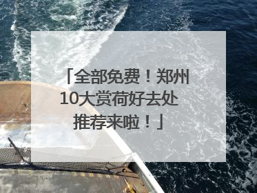 全部免费！郑州10大赏荷好去处推荐来啦！