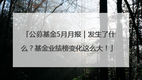 公募基金5月月报｜发生了什么？基金业绩榜变化这么大！