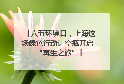 六五环境日，上海这场绿色行动让空瓶开启 “再生之旅”