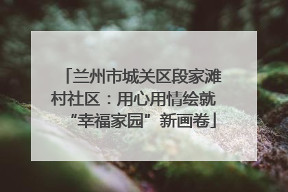 兰州市城关区段家滩村社区：用心用情绘就“幸福家园”新画卷