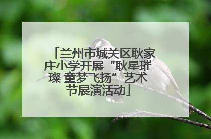 兰州市城关区耿家庄小学开展“耿星璀璨 童梦飞扬”艺术节展演活动