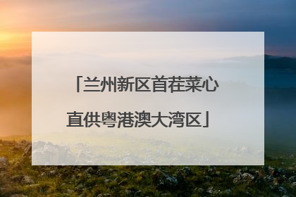 兰州新区首茬菜心直供粤港澳大湾区