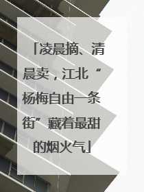 凌晨摘、清晨卖，江北“杨梅自由一条街”藏着最甜的烟火气
