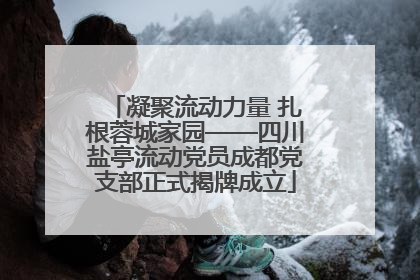 凝聚流动力量 扎根蓉城家园——四川盐亭流动党员成都党支部正式揭牌成立
