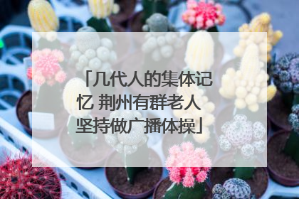 几代人的集体记忆 荆州有群老人坚持做广播体操
