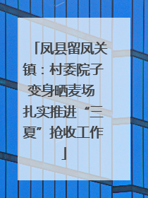 凤县留凤关镇：村委院子变身晒麦场 扎实推进“三夏”抢收工作