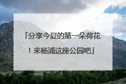 分享今夏的第一朵荷花！来杨浦这座公园吧