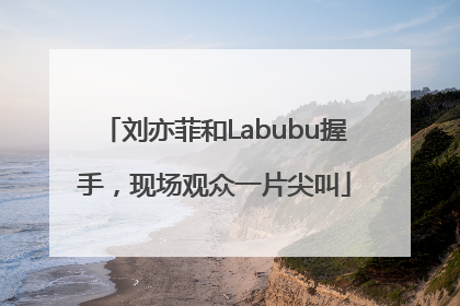 刘亦菲和Labubu握手，现场观众一片尖叫