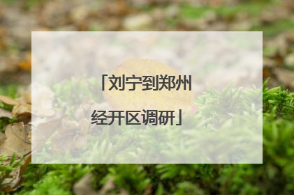 刘宁到郑州经开区调研