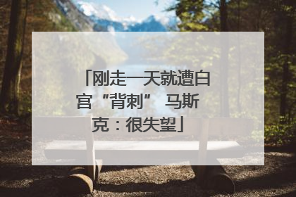 刚走一天就遭白宫“背刺” 马斯克：很失望