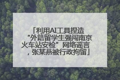 利用AI工具捏造 “外籍留学生强闯南京火车站安检”网络谣言，张某燕被行政拘留