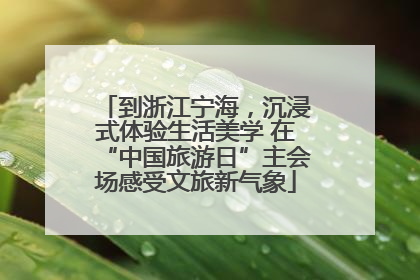 到浙江宁海，沉浸式体验生活美学 在“中国旅游日”主会场感受文旅新气象