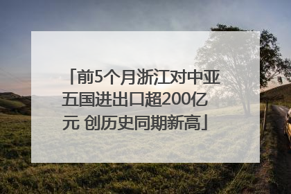 前5个月浙江对中亚五国进出口超200亿元 创历史同期新高
