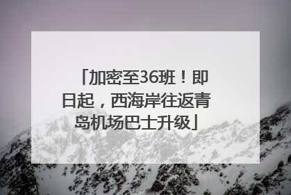 加密至36班！即日起，西海岸往返青岛机场巴士升级
