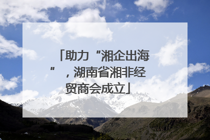 助力“湘企出海”，湖南省湘非经贸商会成立
