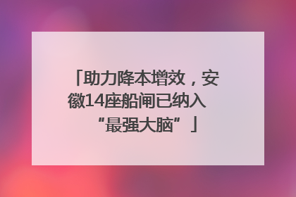 助力降本增效，安徽14座船闸已纳入“最强大脑”