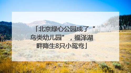 北京绿心公园成了“鸟类幼儿园”，福泽湖畔降生8只小鸳鸯