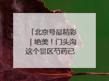 北京号最精彩｜绝美！门头沟这个景区芍药已花开成海