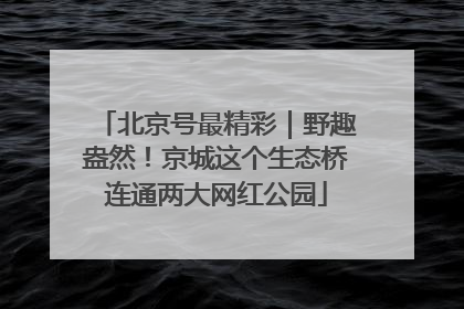 北京号最精彩｜野趣盎然！京城这个生态桥连通两大网红公园