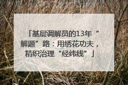 基层调解员的13年“解题”路：用绣花功夫，精织治理“经纬线”