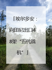 埃尔多安：向印尼出口48架“五代战机”
