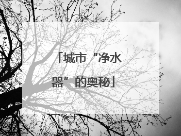 城市“净水器”的奥秘