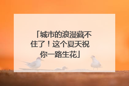 城市的浪漫藏不住了！这个夏天祝你一路生花