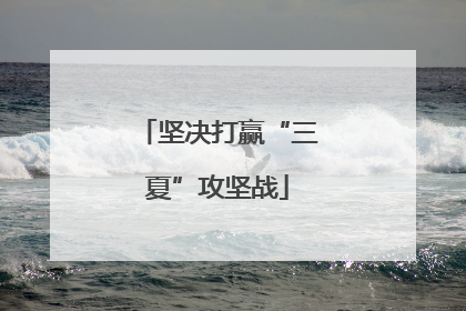 坚决打赢“三夏”攻坚战