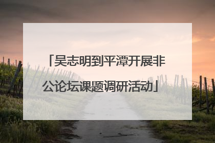 吴志明到平潭开展非公论坛课题调研活动