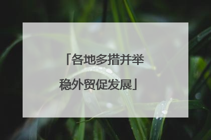 各地多措并举稳外贸促发展