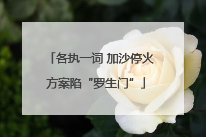 各执一词 加沙停火方案陷“罗生门”
