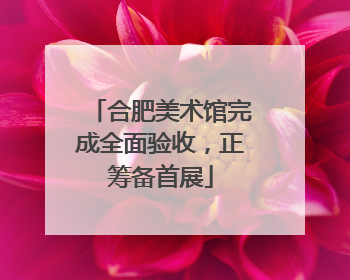 合肥美术馆完成全面验收，正筹备首展