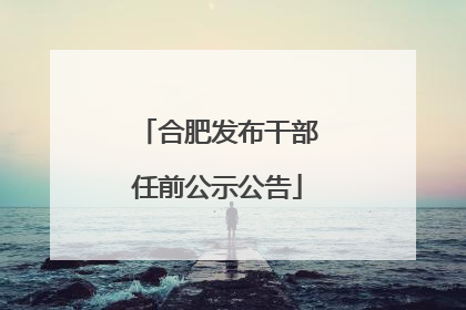 合肥发布干部任前公示公告