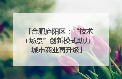 合肥庐阳区：“技术+场景”创新模式助力城市商业再升级