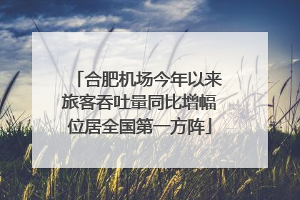 合肥机场今年以来旅客吞吐量同比增幅位居全国第一方阵