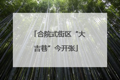 合院式街区“大吉巷”今开张