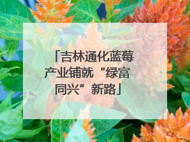 吉林通化蓝莓产业铺就“绿富同兴”新路