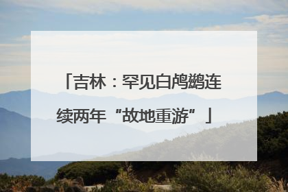 吉林：罕见白鸬鹚连续两年“故地重游”