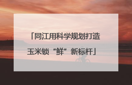 同江用科学规划打造玉米锁“鲜”新标杆