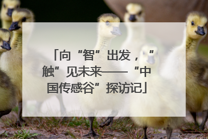 向“智”出发，“触”见未来——“中国传感谷”探访记