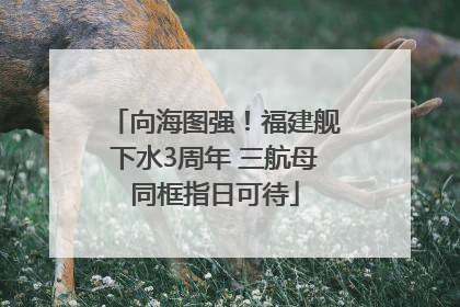 向海图强！福建舰下水3周年 三航母同框指日可待