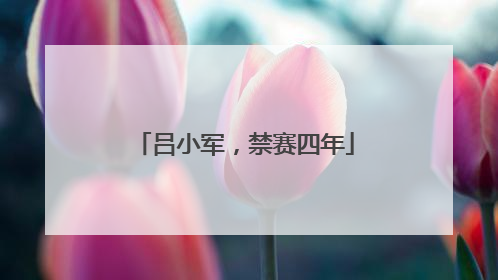 吕小军，禁赛四年