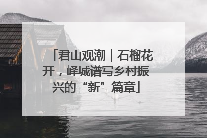 君山观潮｜石榴花开，峄城谱写乡村振兴的“新”篇章