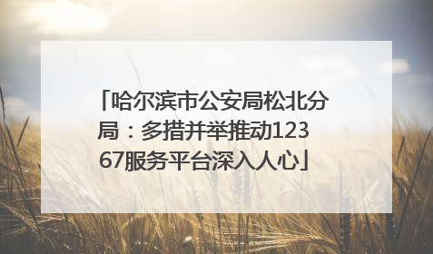 哈尔滨市公安局松北分局：多措并举推动12367服务平台深入人心