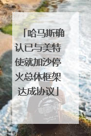 哈马斯确认已与美特使就加沙停火总体框架达成协议
