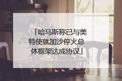 哈马斯称已与美特使就加沙停火总体框架达成协议